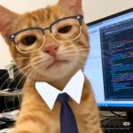 Hdhds Hdbdb Profile Picture