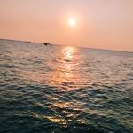 Br Jooo Profile Picture