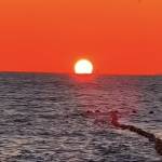 Minh Phan Profile Picture