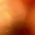 nyvta8-gyvSus-sedjyr Hhdh Profile Picture