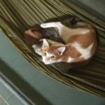 phương hà Profile Picture