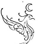 tiger2169 Profile Picture