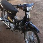 Bông Lia Profile Picture