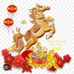 An Nguyen Profile Picture