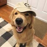 nhan hoang Profile Picture