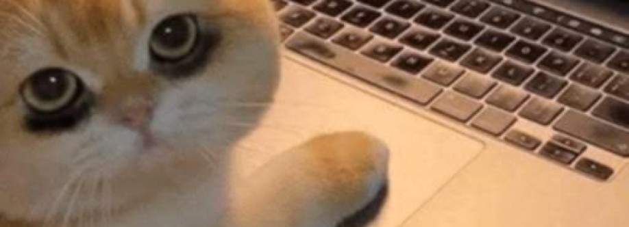 Duong Nguyen Cover Image