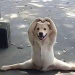 Thành Nguyễn Profile Picture