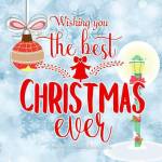 Nam Trần Profile Picture