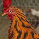 Nam Nguyễn Profile Picture