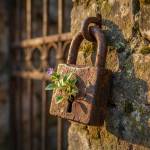 Anh Em Profile Picture