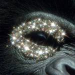 Bo Ram Profile Picture