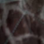 Huhu Haha Profile Picture