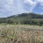 Thienngoaiphikiem Profile Picture