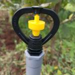 QTV Tạ Profile Picture