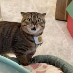 Đấu Nguyễn Profile Picture