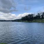 Đức Phạm Profile Picture