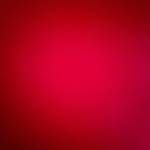 0344611015 Profile Picture