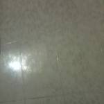 Út Lê Profile Picture