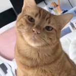 zzthichdichich Profile Picture