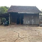 Minh47 Profile Picture