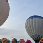 Sang Nguyen Profile Picture