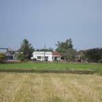 Nhựt Trần Profile Picture