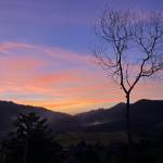 Hung Hoang Profile Picture