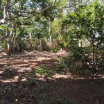 Cuteo To Profile Picture