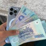 Thắng Trần Profile Picture