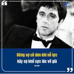 Huy Vũ Profile Picture