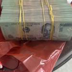 Xuanduong Profile Picture