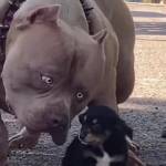 Hùng Trần Profile Picture