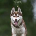 Babivaky379 Profile Picture