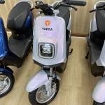 Kiet Dieu Profile Picture