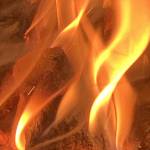 NgTh Profile Picture