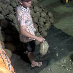 Vy Nguyễn Profile Picture