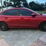 Tien Quang Profile Picture