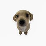 Linhdanhthue Profile Picture