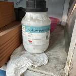 dung nguyen Profile Picture