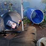 Công nguyên Lê Profile Picture