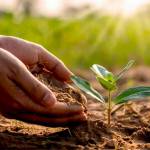 Khiem Tran Profile Picture