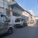 Nho Nho Profile Picture