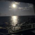 Hung Nguyen Profile Picture