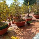 Haohai123 Profile Picture