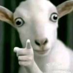 Nam Nguyễn Profile Picture