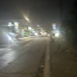 Gái Săn Profile Picture