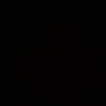 quoc nguyen Profile Picture