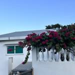 Gia Vo Profile Picture