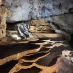 Nè Trần Profile Picture