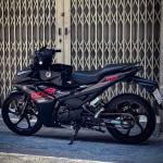 Minh Hoàng Profile Picture